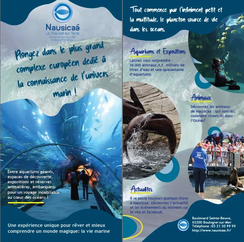 Emmanaturedesign-flyer-nausicaa