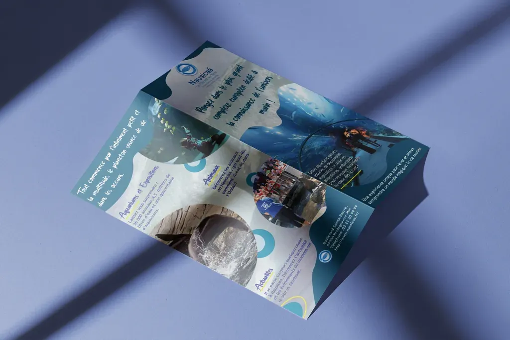 Emmanaturedesign-flyer-nausicaa-mock-up-_3